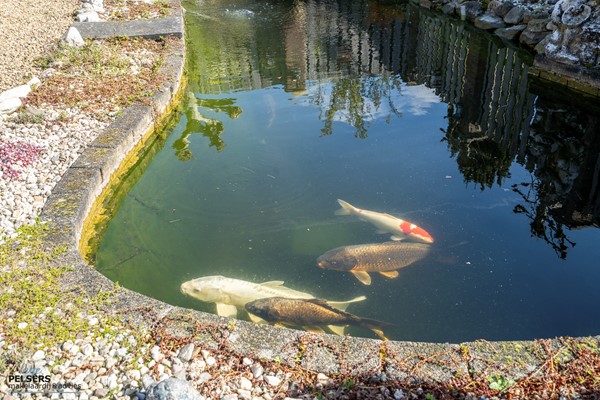 Medium property photo - Prins Bernhardlaan 10, 5953 EB Reuver